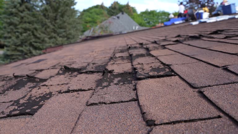 Best Roof Ventilation Installation  in Jennerstown, PA